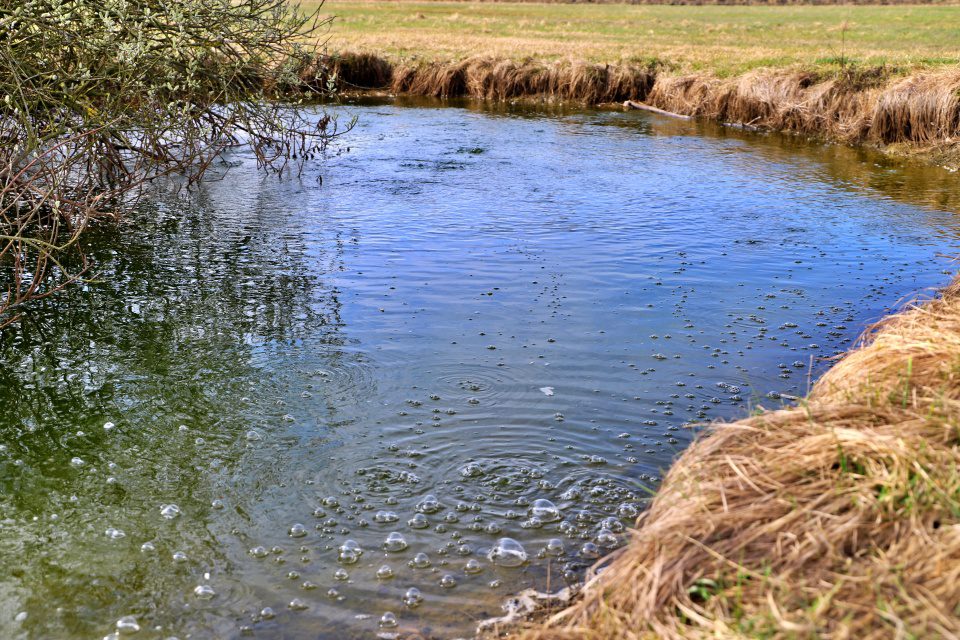 Vulcanii noroiosi de la Pischia
